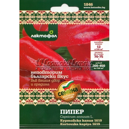 Пипер Куртовска капия