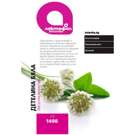 Детелина бяла