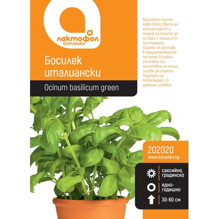 Босилек италиански