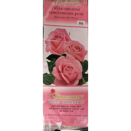 Храстовидна роза на гол корен