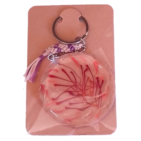 КЛЮЧОДЪРЖАТЕЛ с ШАФРАНОВ МИНЗУХАР 6