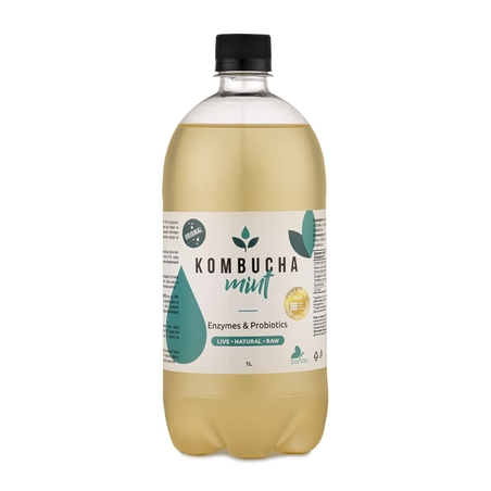 Комбуча Мента 1 л. DALVITA