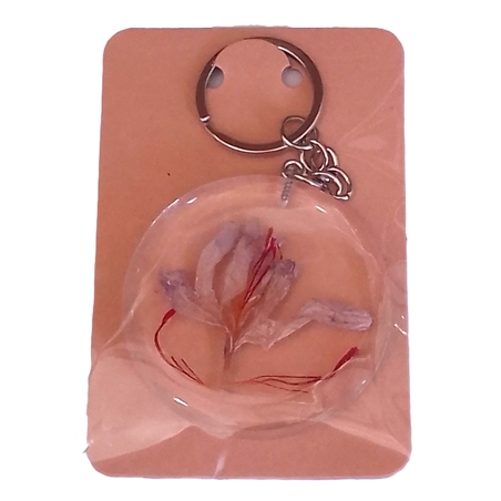 КЛЮЧОДЪРЖАТЕЛ с ШАФРАНОВ МИНЗУХАР 5