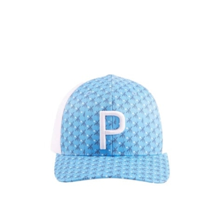 PUMA Palms Trucker P Snapback Cap Blue/White