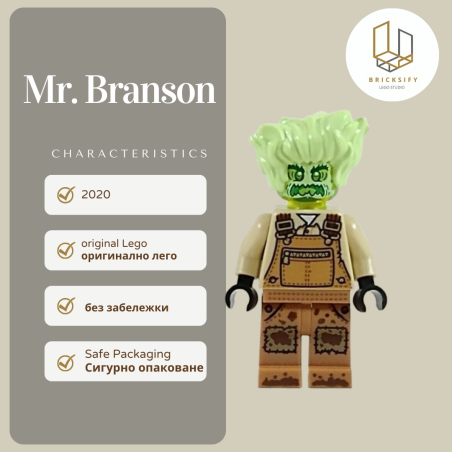 Mr.Branson