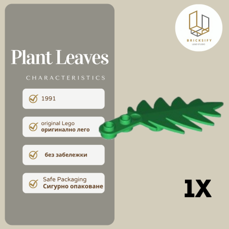 Plant Leaves 6148