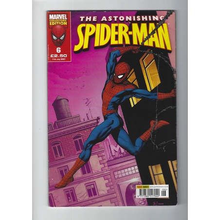 The Astonishing Spiderman 6