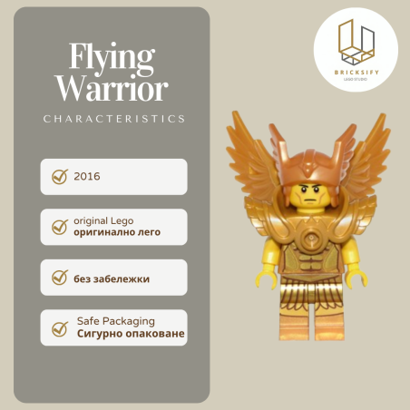 Flying Warrior