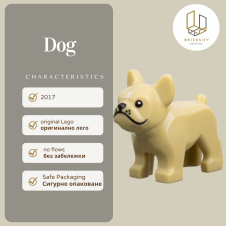 Dog 29602pb091