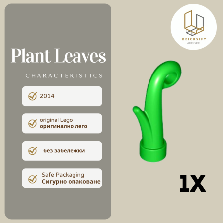 Plant Leaves 15279