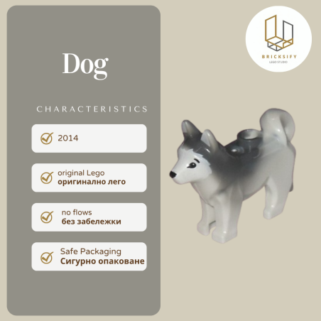 Dog 48812