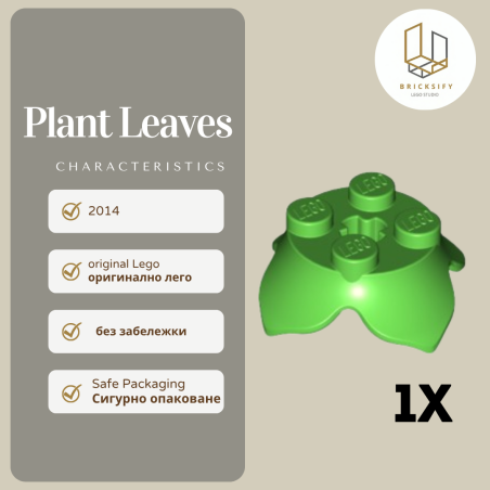 Plant Leaves 15469