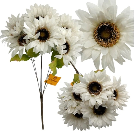 Бял слънчоглед