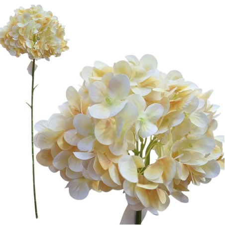 ХОРТЕНЗИЯ КРЕМ