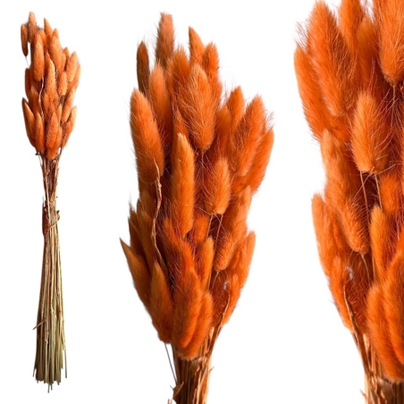 Заешка опашка сух цвят