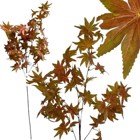 Клонка с листа есенни дълги