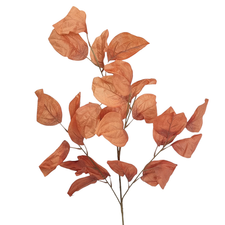 Есенни клонки