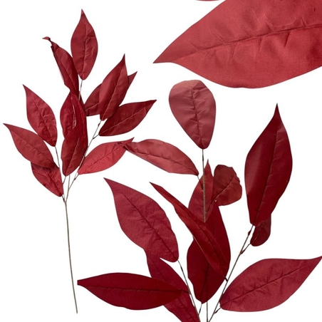 Червена клонка