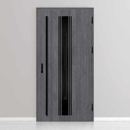 Входна врата WELS 5