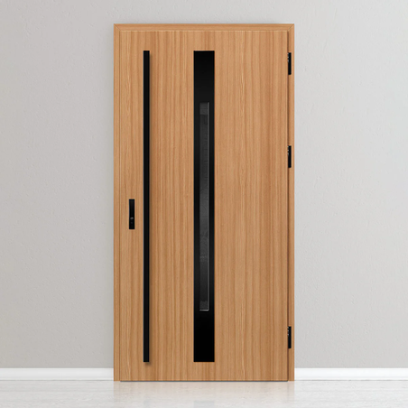 Входна врата WELS 2