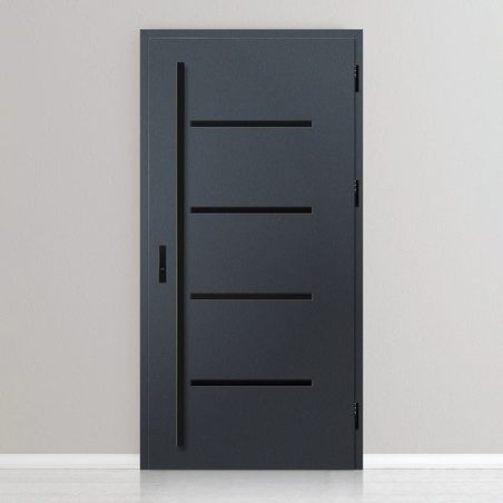 Входна врата BIENE 3