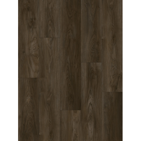 Floor V - SPC Floor V Essentials WIRB 21788 - 5мм