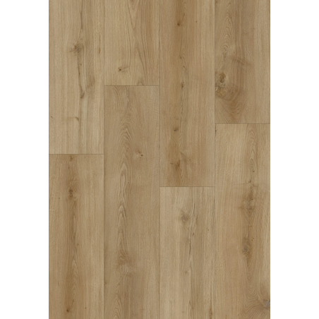 Floor V -  SPC Floor V Essentials WIRB 22512 - 5мм