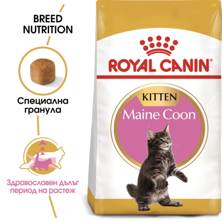 ROYAL CANIN® FBN MAINE COON KITTEN за подрастващи котенца от порода мейн куун (до 15 месеца)