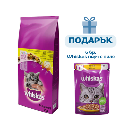 Whiskas Chicken Junior - с пилешко месо,за котенца от 1 до 12 месеца - 14 кг