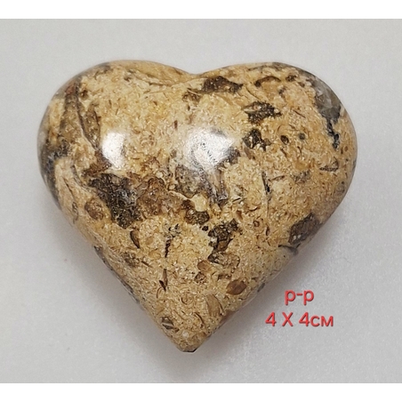 Фосил - Сърце