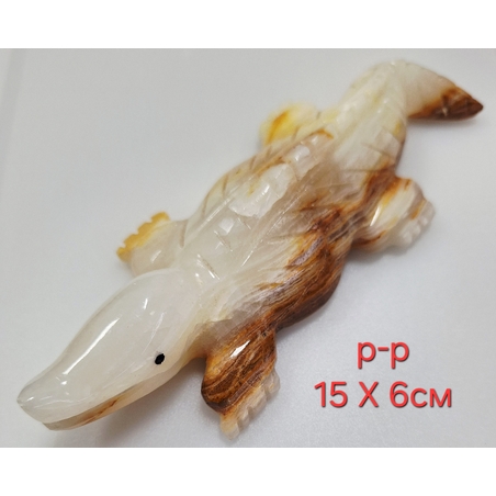 Оникс - крокодил