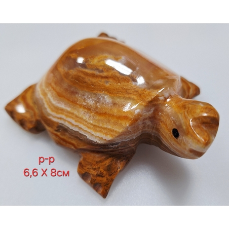 Оникс - Костенурка