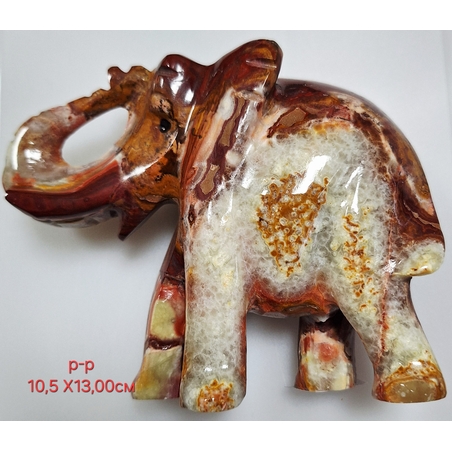 Оникс - слон