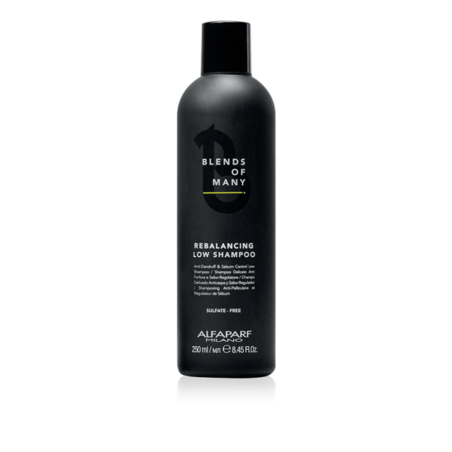 Шампоан за мъже 2 в 1 себобалансиращ и против пърхот Alfaparf Вlends of Мany Rebalancing low shampoo