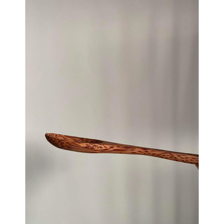 КОКОСОВА ЛЪЖИЧКА