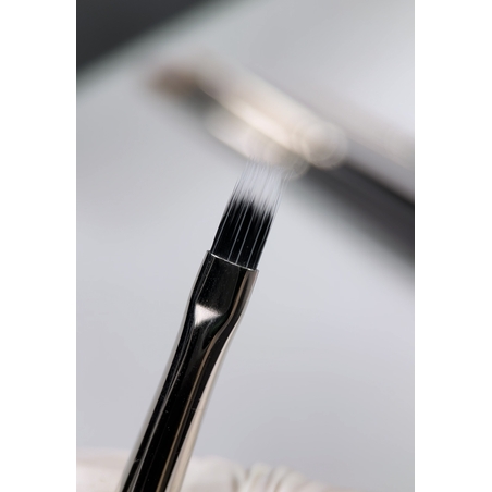 Brush Atica Gradient