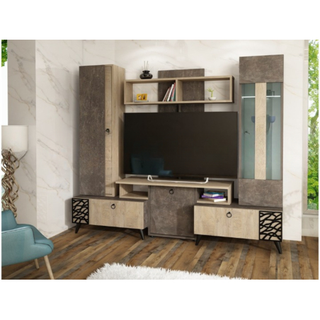 Секция Нола