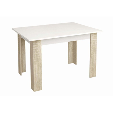 Маса Радина