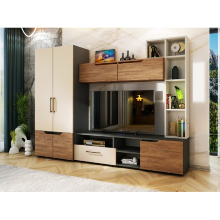 Секция Сенс