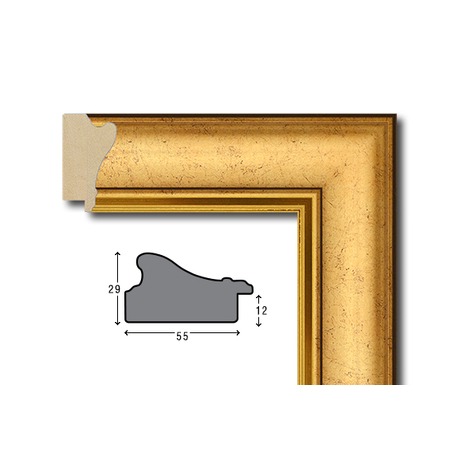 Е 5501