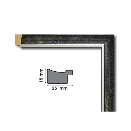 Е 2517