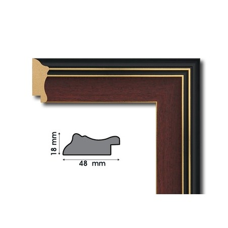 А 4818-3