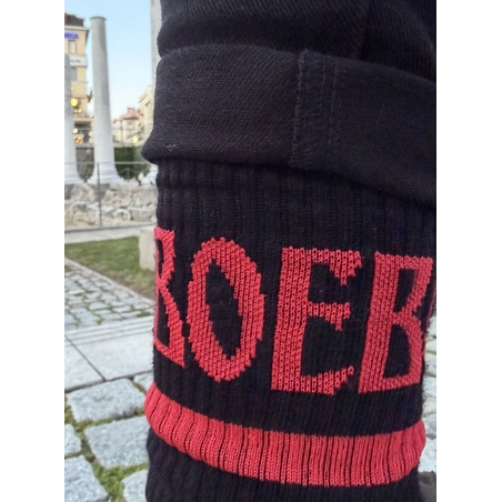 ВОЕВОДА – стабилност, сила и характер