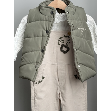 Комплект APPLE