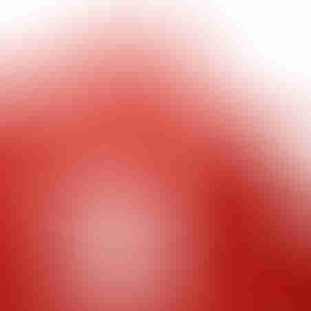 Red Reading Journal