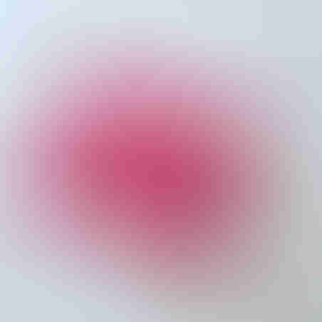Blank Retro Album, raspberry