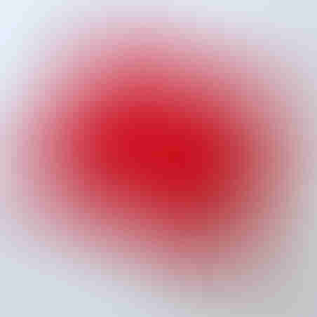 Blank Retro Album, red