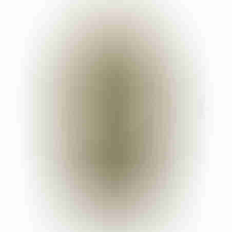 ALEKSANDR MANAMIS Women's Long Striped Coat (1)