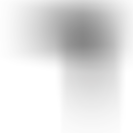 Професионален сешоар WAHL TurboBooster 3400 ErgoLight