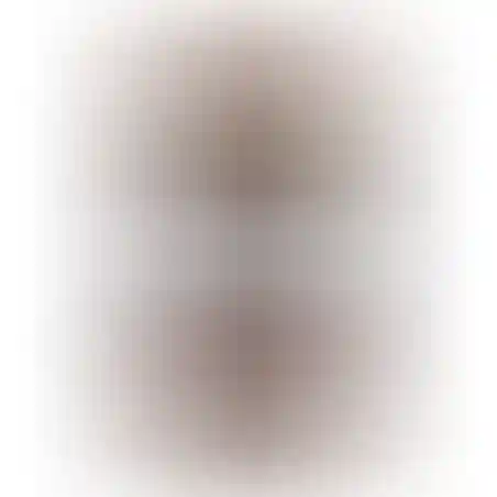 FOLD 4 /205